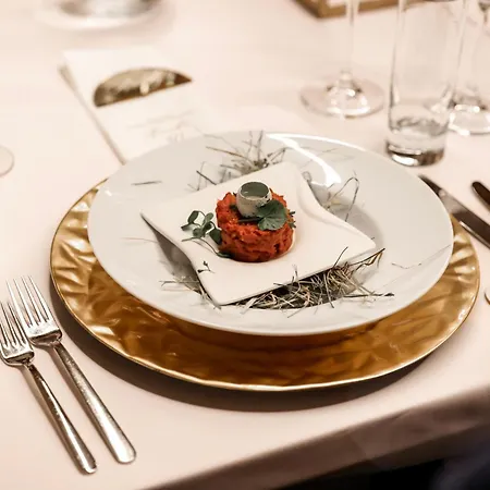 Dolphin - Adult Friendly