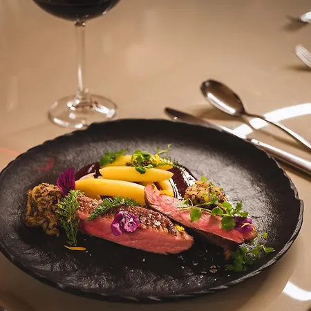 Hotel Dolphin - Adult Friendly Senec