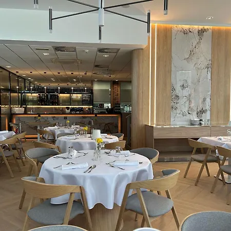 Dolphin - Adult Friendly