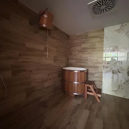 Dolphin - Adult Friendly