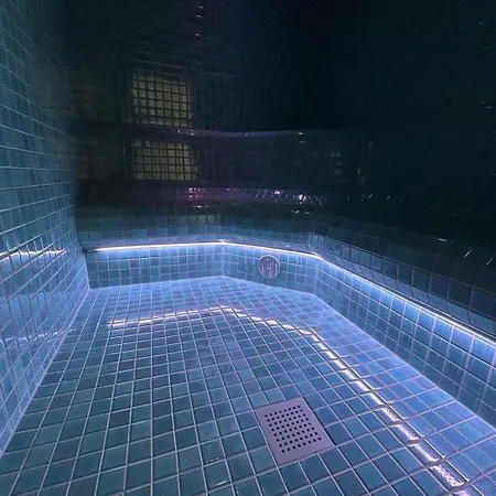 Dolphin - Adult Friendly