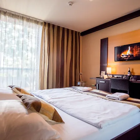 Dolphin - Adult Friendly 4*