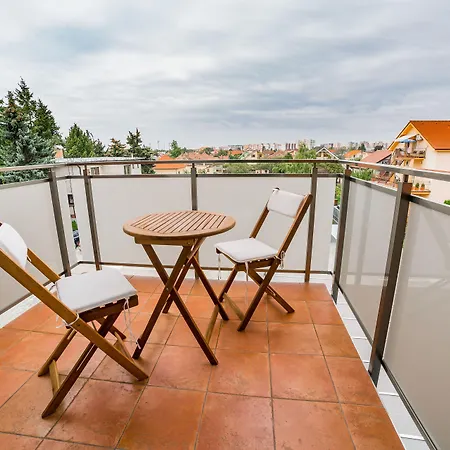 Dolphin - Adult Friendly Senec