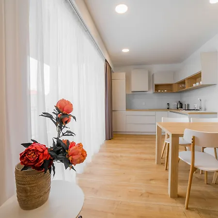 Dolphin - Adult Friendly Senec