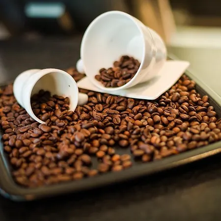 Dolphin - Adult Friendly Hotel 4*