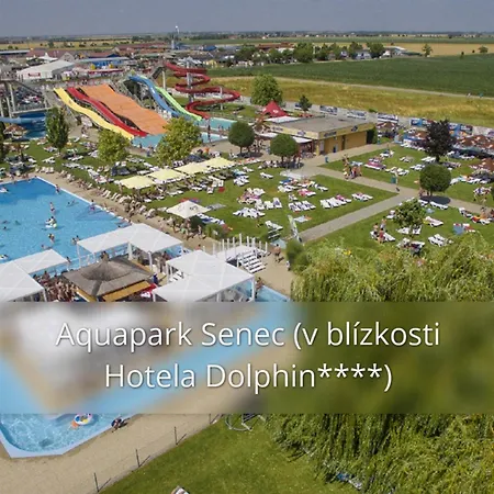 Dolphin - Adult Friendly Senec